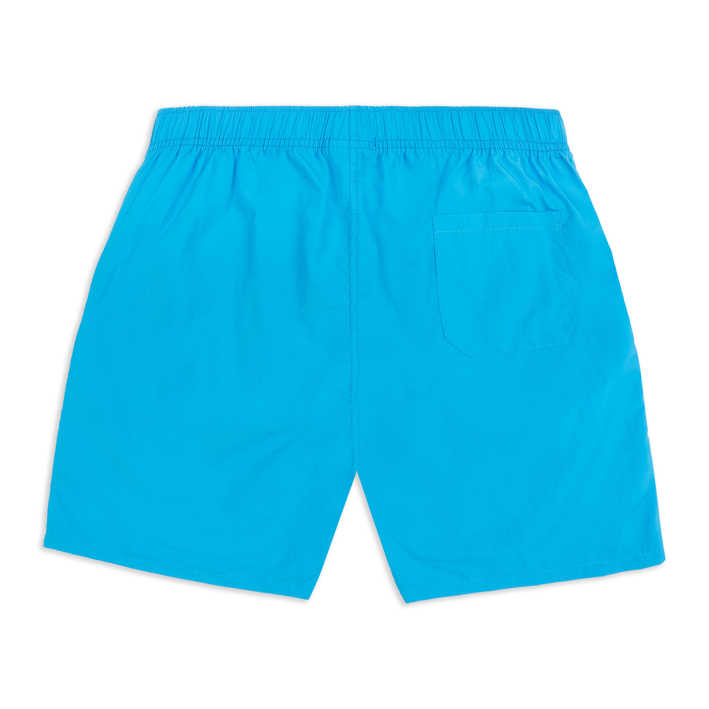 Blue Swim Shorts